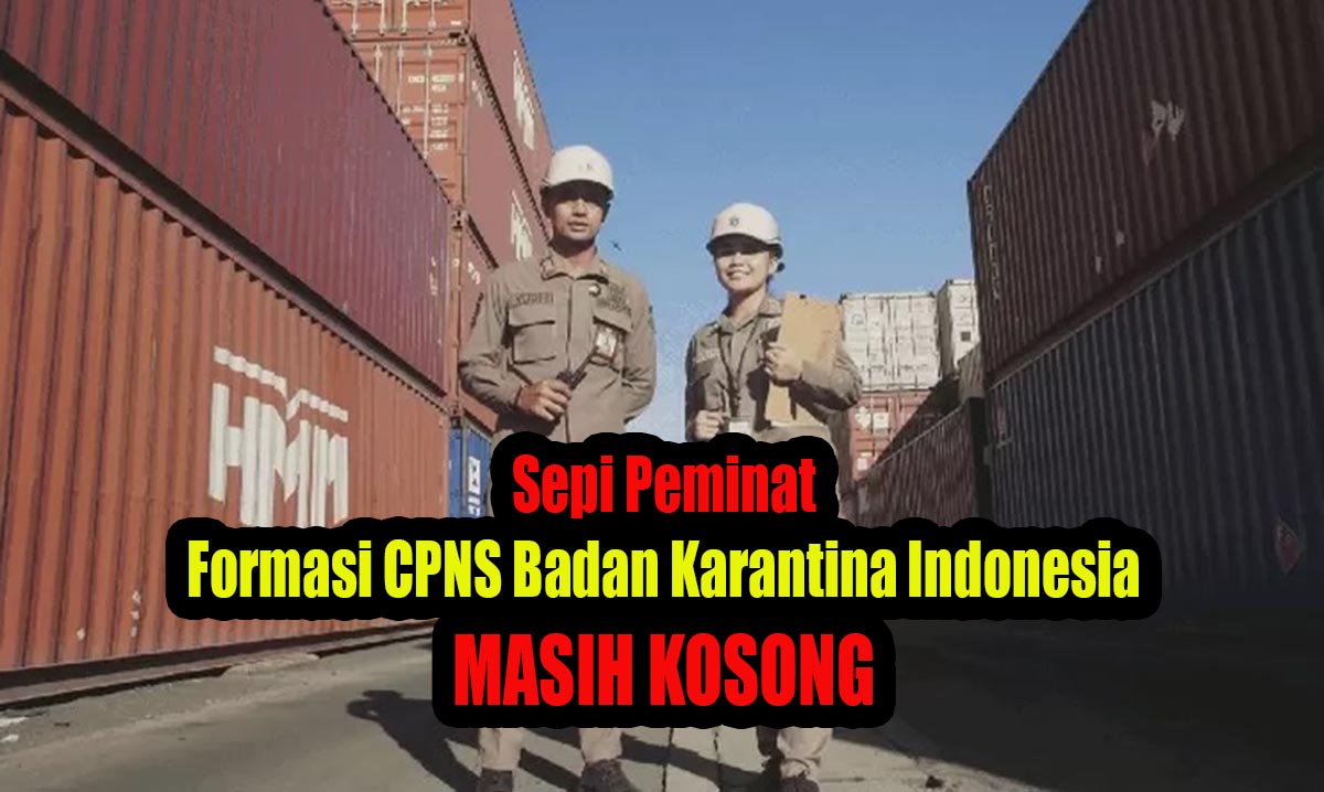 Info Terbaru Pendaftaran CPNS, 8 Formasi CPNS 2024 Ini Masih Kosong Tidak Ada Pelamar