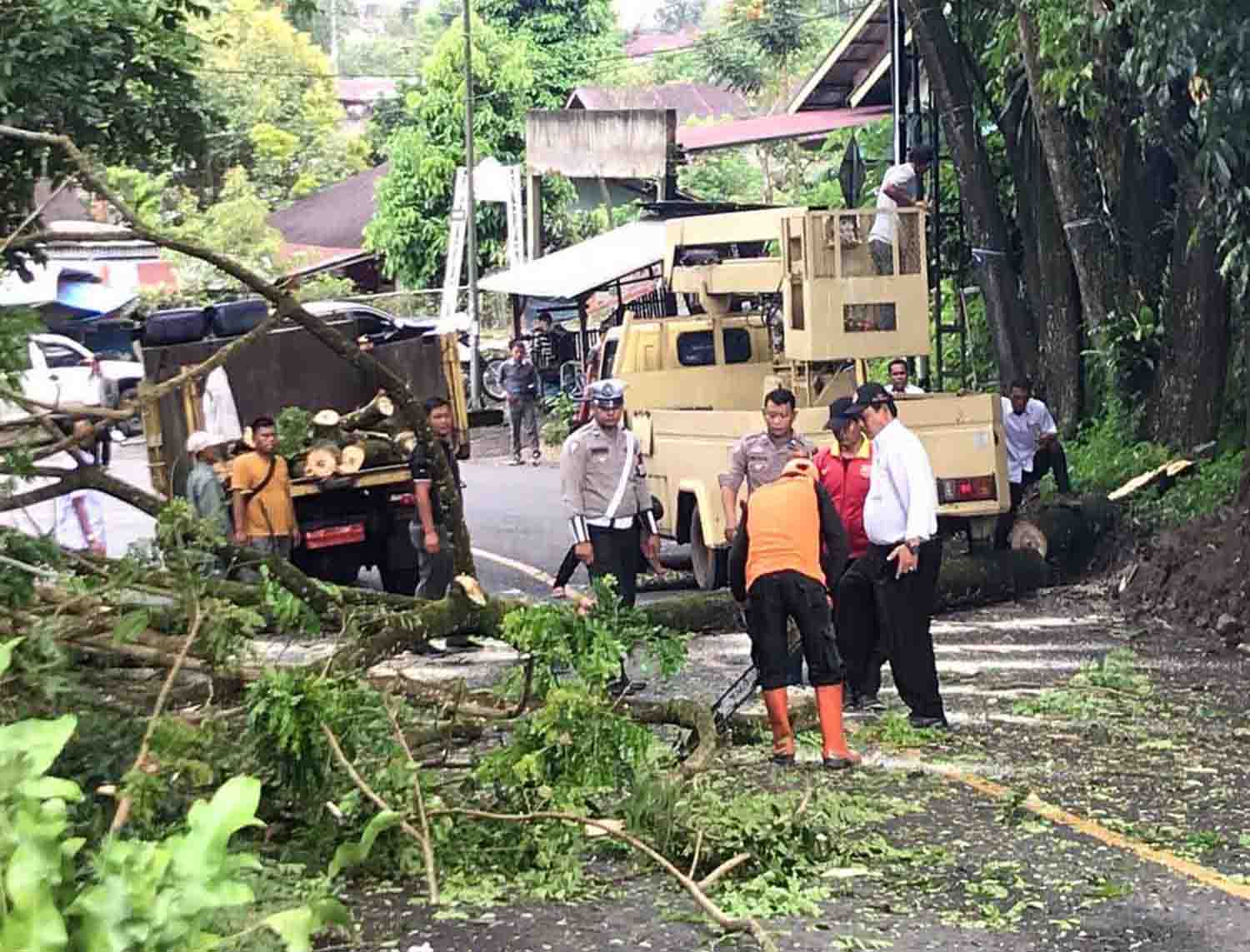 DLH Pangkas Pohon Rawan Tumbang 