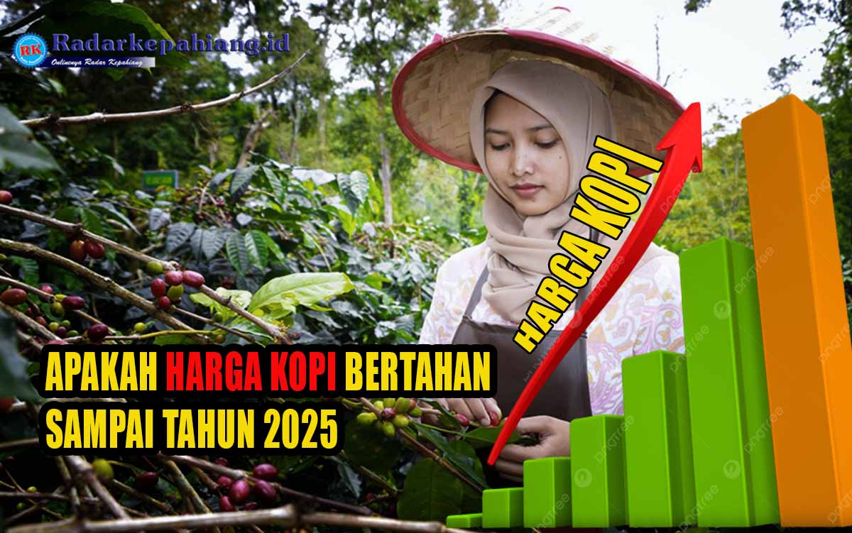 Apakah Harga Kopi Indonesia Dapat Bertahan Hingga Tahun 2025, Petani Kopi Wajib Tahu Prediksi Harga Kopi!