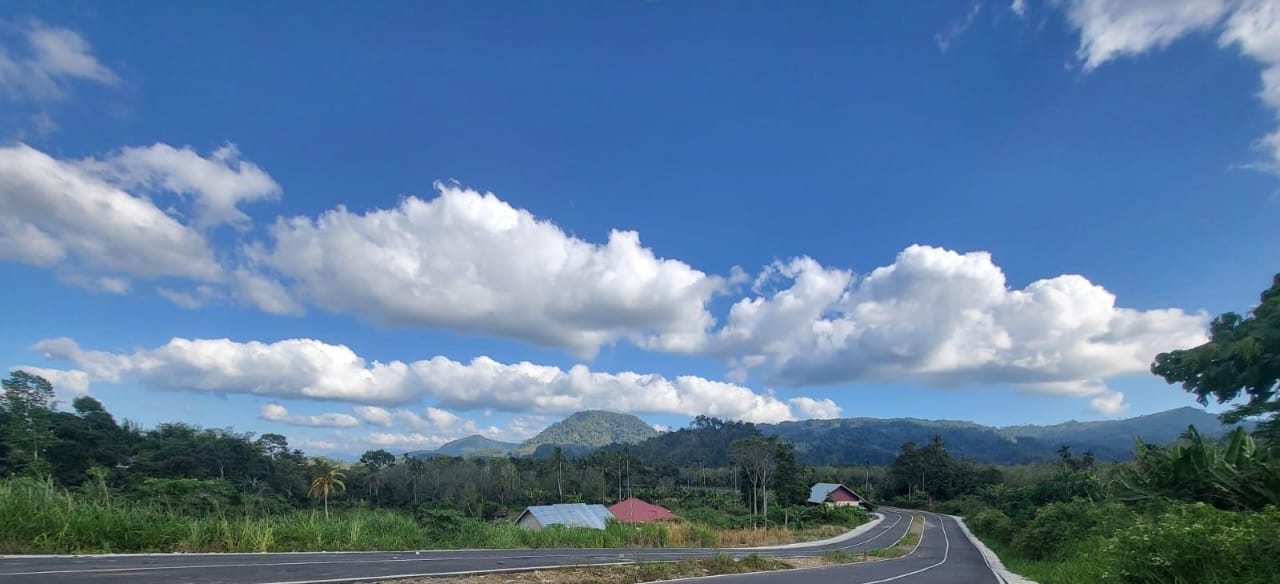 Dinas LH Bakal Lakukan Reboisasi di kawasan Hutan Lindung