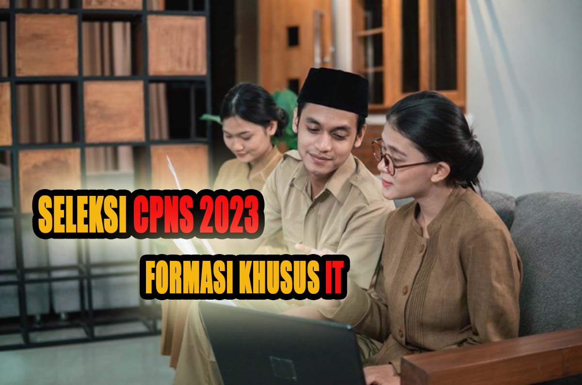 Begini Gambaran Penempatan CPNS 2023 Khusus Untuk Formasi Ahli IT