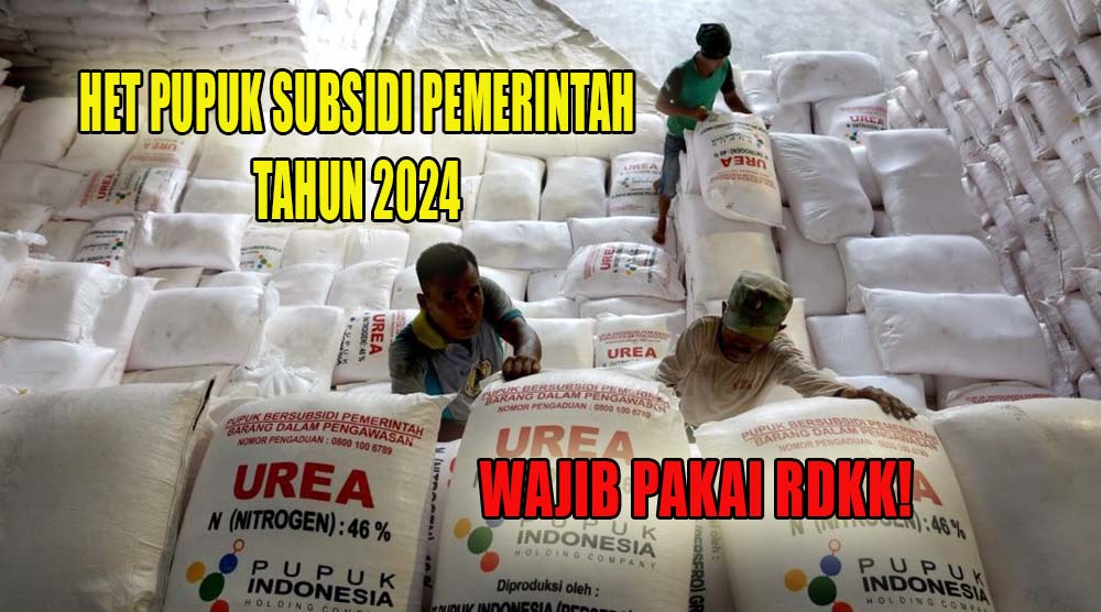 Petani Wajib Buat RDKK, Berikut Ini HET Pupuk Subsidi Pemerintah Terbaru Tahun 2024