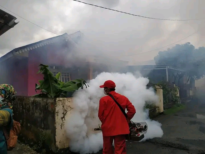 Sudah Ada 77 Kasus DBD, Dinkes Ingatkan Masyarakat Kepahiang Waspada!