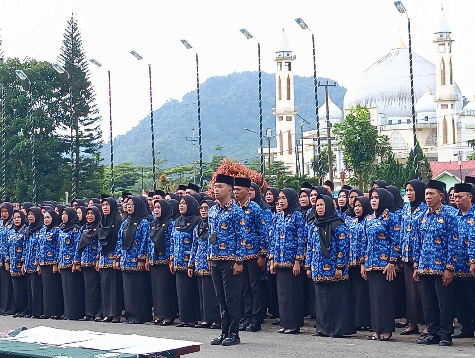 MENGEJUTKAN! Segini Besaran THR PPPK Paruh Waktu di Kepahiang