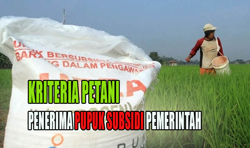 Ingat Bukan Sembarangan, Ini Kriteria Petani Penerima Pupuk Subsidi Pemerintah