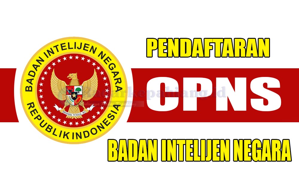 Selain Surat Lamaran, Simak Contoh dan Link Download Surat Pernyataan Syarat Pendaftaran CPNS BIN 2023