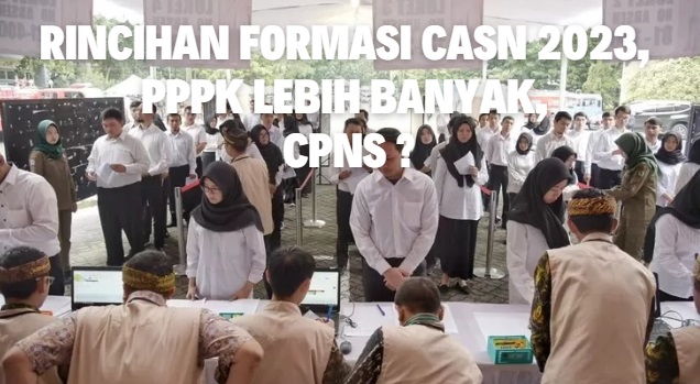 Pendaftaran CASN 2023 Dibuka, Formasi PPPK Mendominasi, CPNS Terbatas!