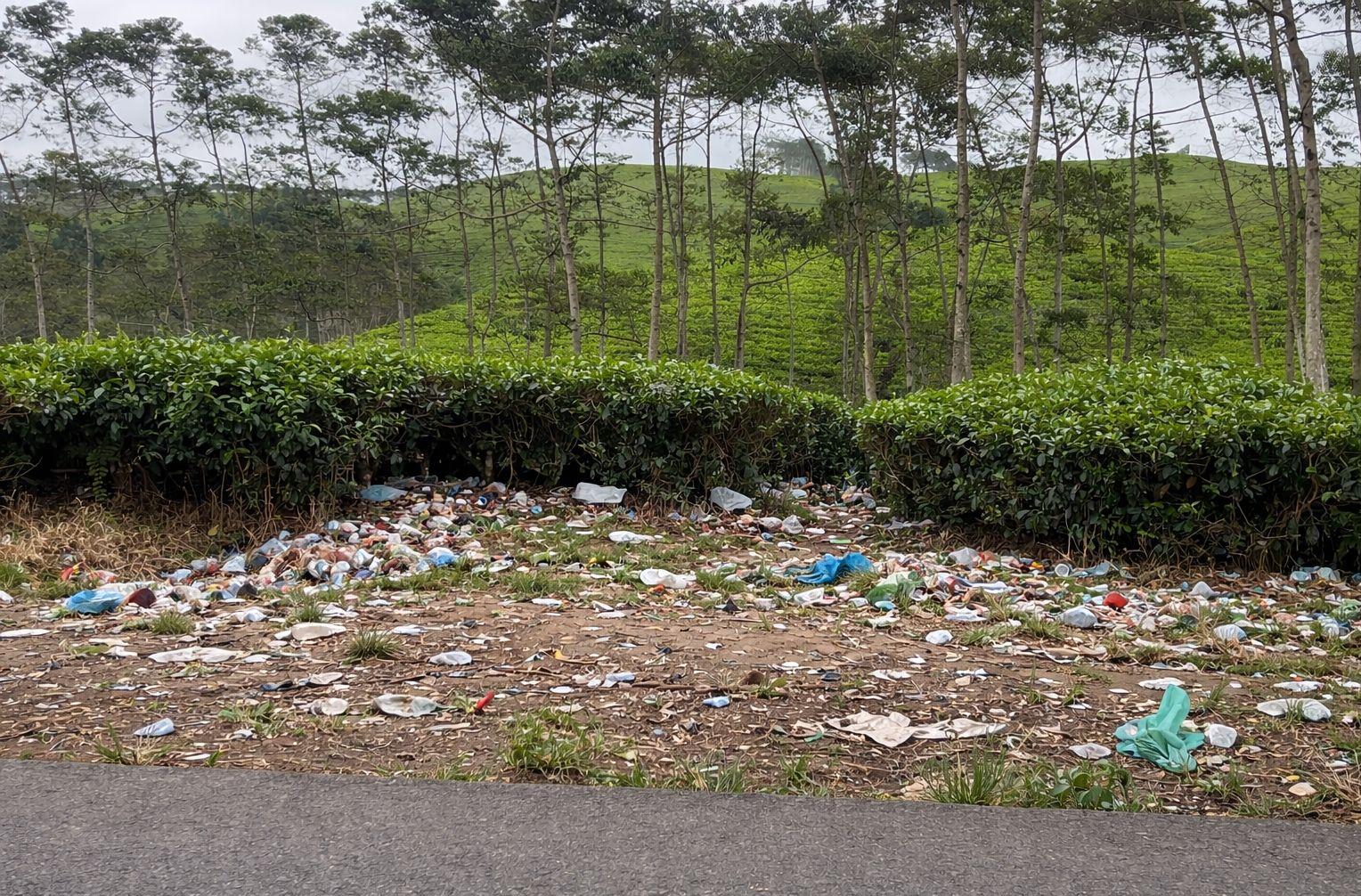 Sampah Dimana-mana, Wisata Kebun Teh Dikeluhkan Pengunjung!