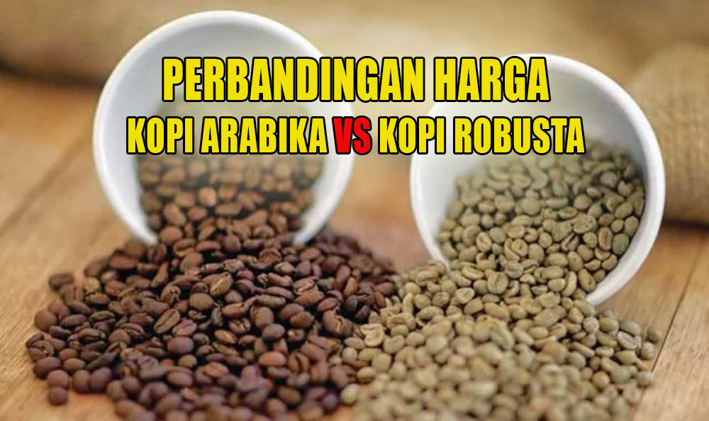 Ini Alasan Kenapa Harga Kopi Arabika Lebih Mahal Dibandingkan Harga Kopi Robusta