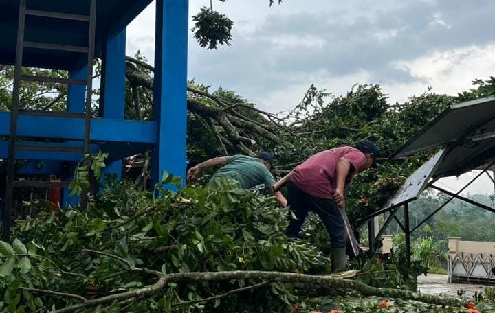 Cuaca Ekstreem Dinding Rumah Warga dan Pohon Tumbang Hantam Puskesmas di Kepahiang
