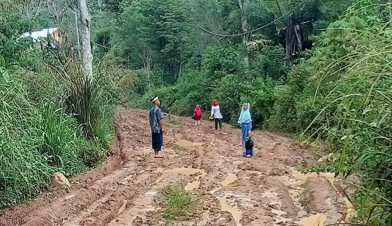 Pemkab Kepahiang Usulkan Pembangunan Jalan Langgar Jaya ke Pusat!