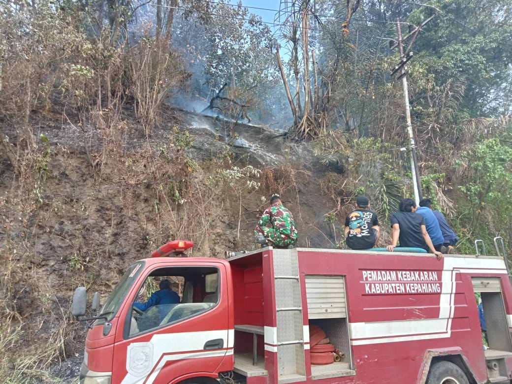 Musim Kemarau, Lahan di Bermani Ilir Kebakaran