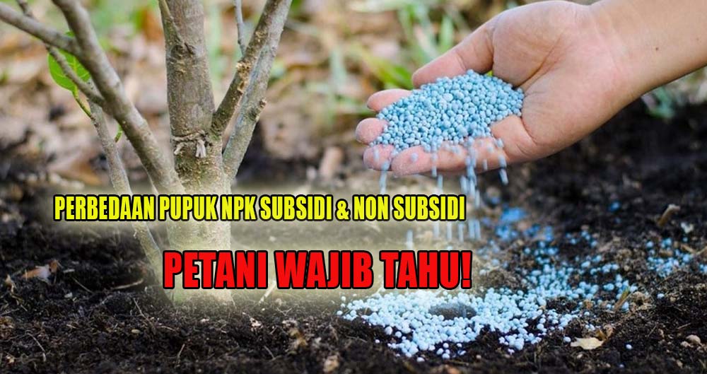 Petani Wajib Paham, Berikut Ini Jenis Pupuk NPK Subsisi dan Non Subsidi yang Banyak Beredar