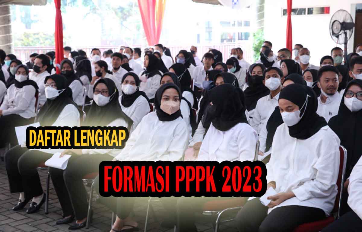 Formasi Guru PPPK Melimpah, Ini Daftar Lengkap Formasi Guru PPPK, PPPK Tenaga Kesehatan dan PPPK Teknis 2023!