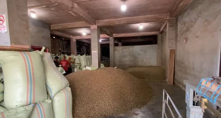 Dari Rp70 Ribu, Segini Sisa Harga Kopi di Kepahiang Saat Ini!