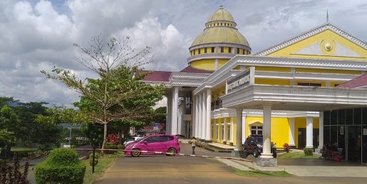 Tahun Depan RSUD Kepahiang Siapkan Layanan Khusus Radiologi