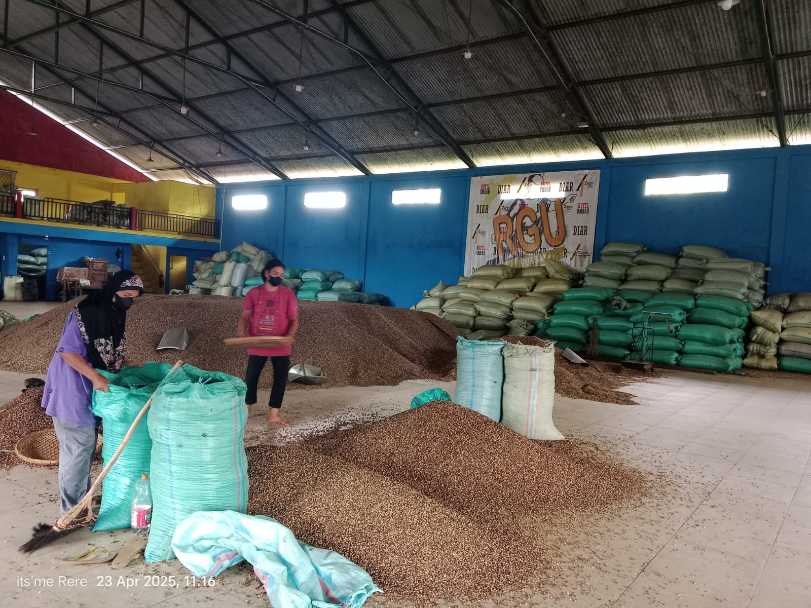 Update Harga Kopi di Kepahiang Hari Ini, Ada Potensi Naik Lagi Rp70 Ribu!