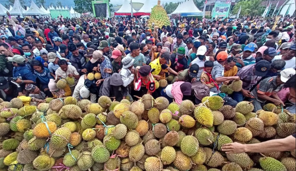 Ayo Makan Durian Gratis, Catat Berikut Ini Jadwal dan Lokasi Festival Durian di Kabupaten Bengkulu Tengah