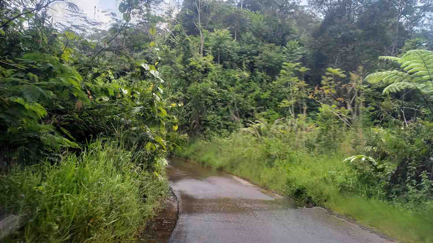 Serut, Jalan Ke Lebong Rawan Kecelakaan