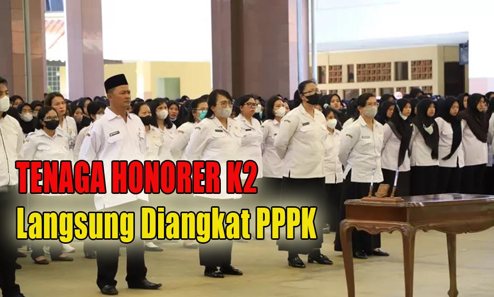 Peluang Besar Tenaga Honorer K2 Langsung Diangkat PPPK Oleh Pemerintah