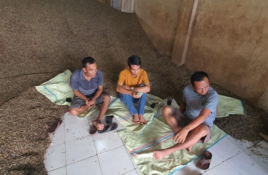 Alhamdulillah Harga Kopi di Kepahiang Naik Lagi, Cek Sekarang di Sini!