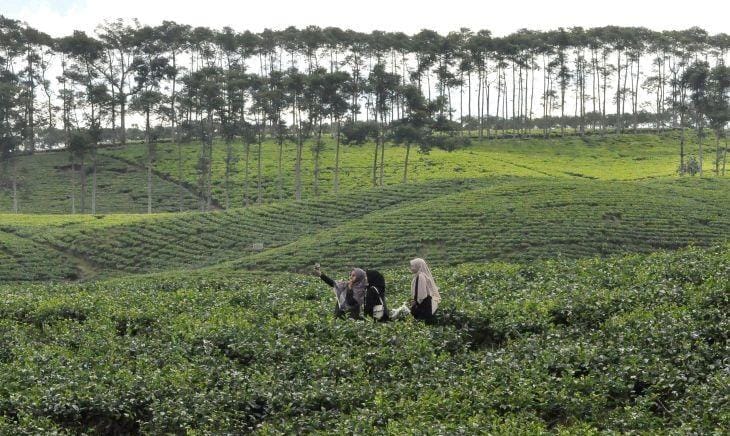 PARAH! Banyak Dalaman Berserakan di Lokasi Destinasi Wisata Kabawetan