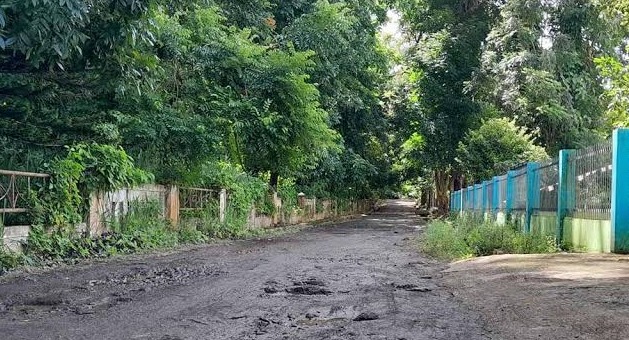 Sebagian Kawasan HL Konak Dibebaskan, Dinas PUPR Kepahiang Langsung Bangun Jalan