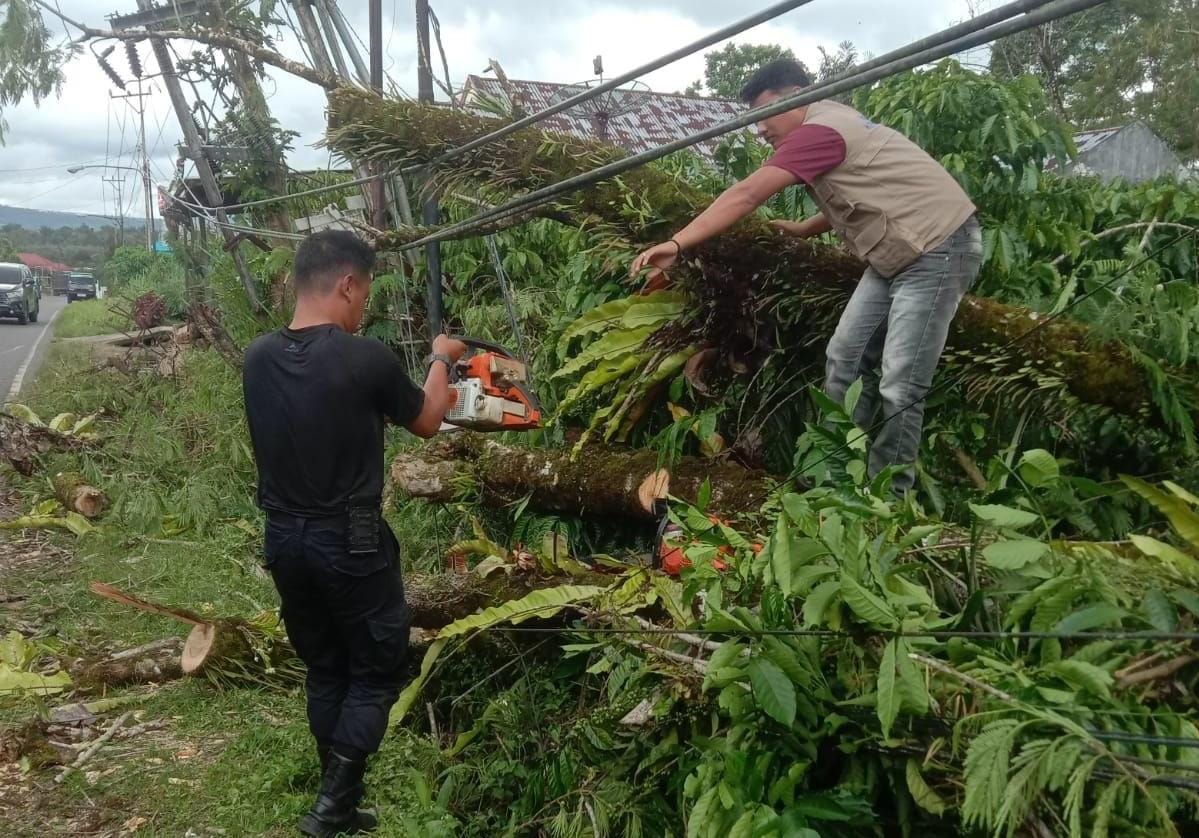 Pohon Tumbang dan Tiang Listrik Roboh di Ujan Mas Bikin Akses Jalan Lumpuh Total!