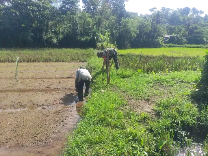 Raperda LP2B Disetujui, Bupati: Lebih Dari 2 Ribu Hektare Lahan Sawah di Kepahiang Perlu Perlindungan