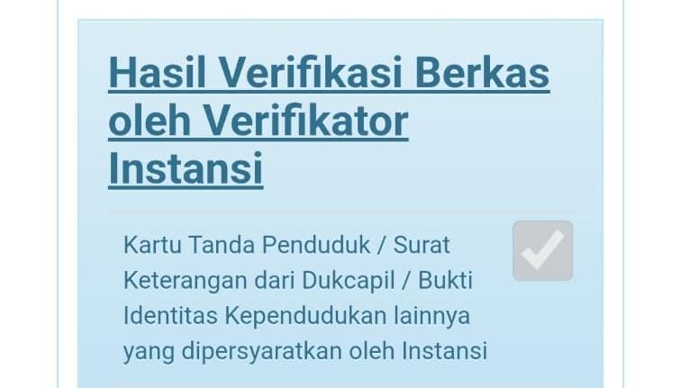 Pengisian DRH di SSCASN, Tenaga Honorer Diminta Cek Berkala!