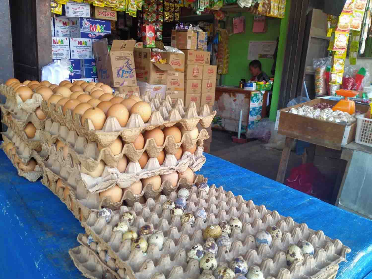 Telur Ayam Ras Rp 54 Ribu/Karpet