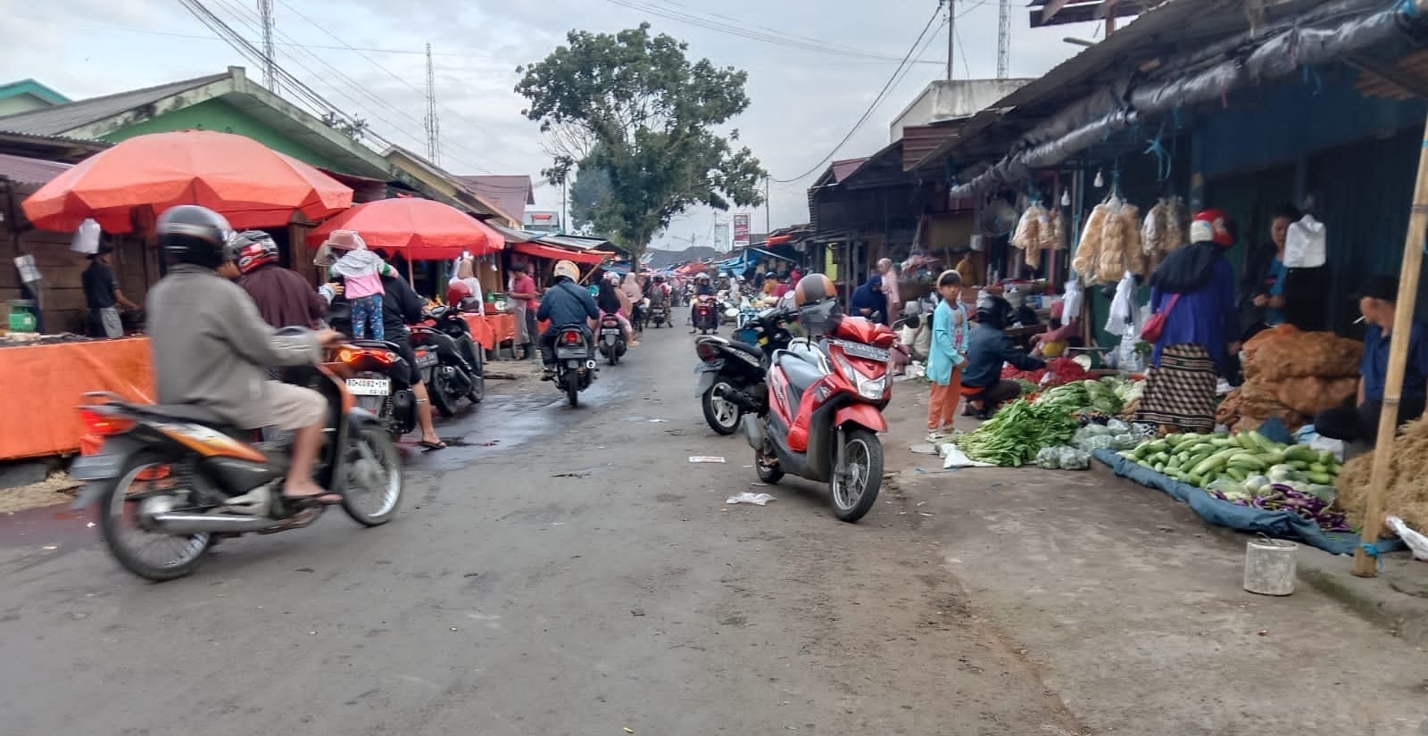 PAD Parkir Bocor, Penambahan Titik Parkir Kabupaten Kepahiang Terancam Gagal!