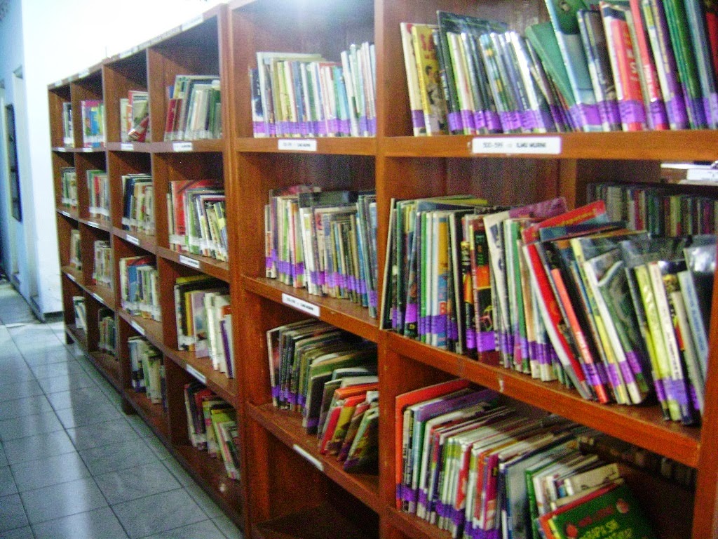 Tingkatkan Minat Baca, Dinas Perpustakaan Bina Desa