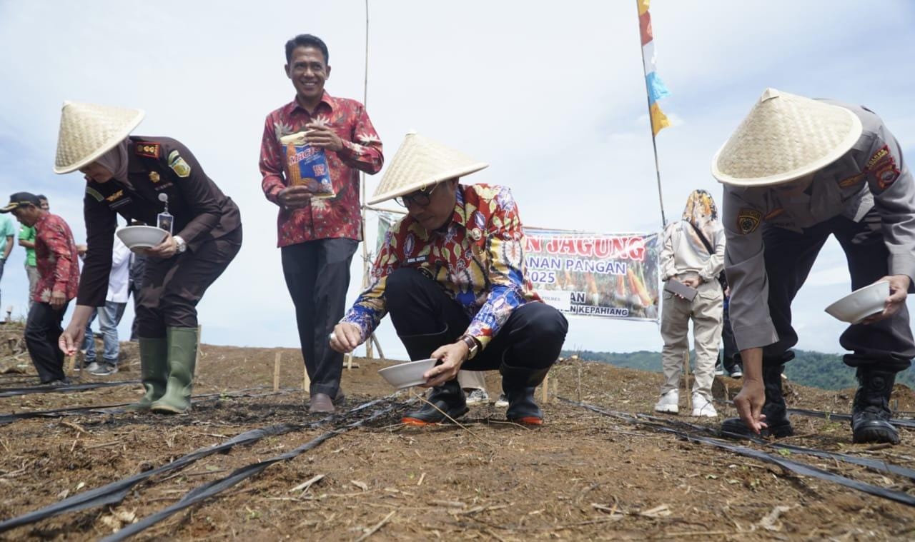 Tanam Jagung, Pemkab Kepahiang Dorong Pemerintah Desa Dukung Ketahanan Pangan