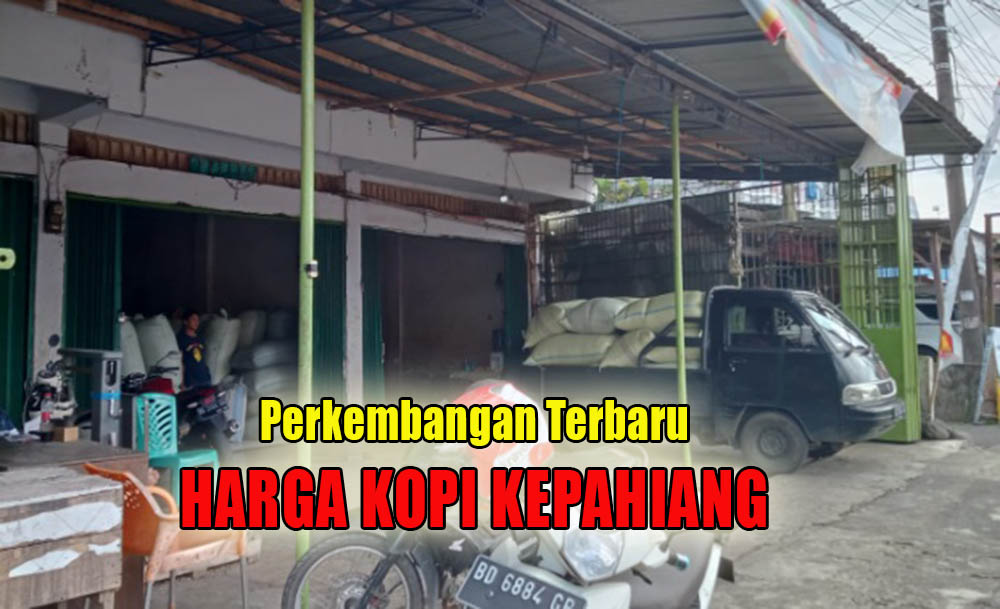 Belum Berubah, Segini Perkembangan Harga Kopi di Kepahiang Per 27 Agustus 2024