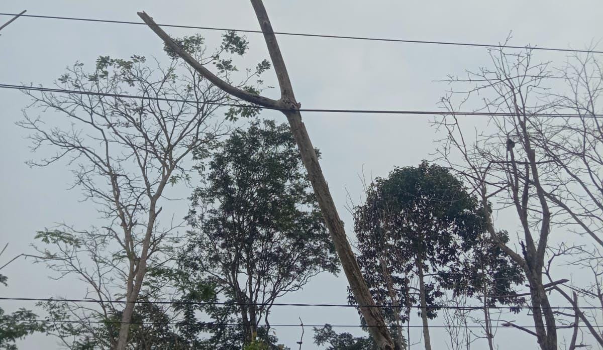 Ternyata Ini Penyebab 24 Jam Lampu Mati di Kecamatan Tebat Karai!