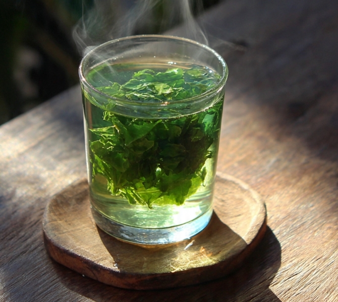 Resep Herbal untuk Mengatasi Keluhan Mulut 