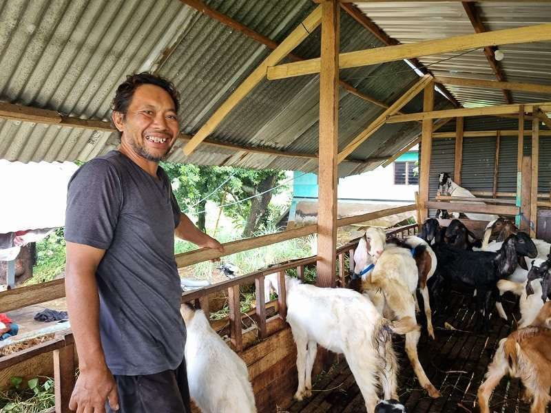 Peternak Kambing Bogor Baru Raup Cuan Jelang Idul Adha