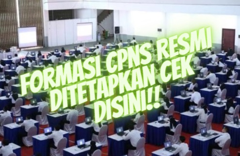 Banyak Guru, Kuota CASN 2023 Untuk CPNS dan Formasi Guru PPPK, Kesehatan dan Tenaga Teknis Resmi Ditetapkan