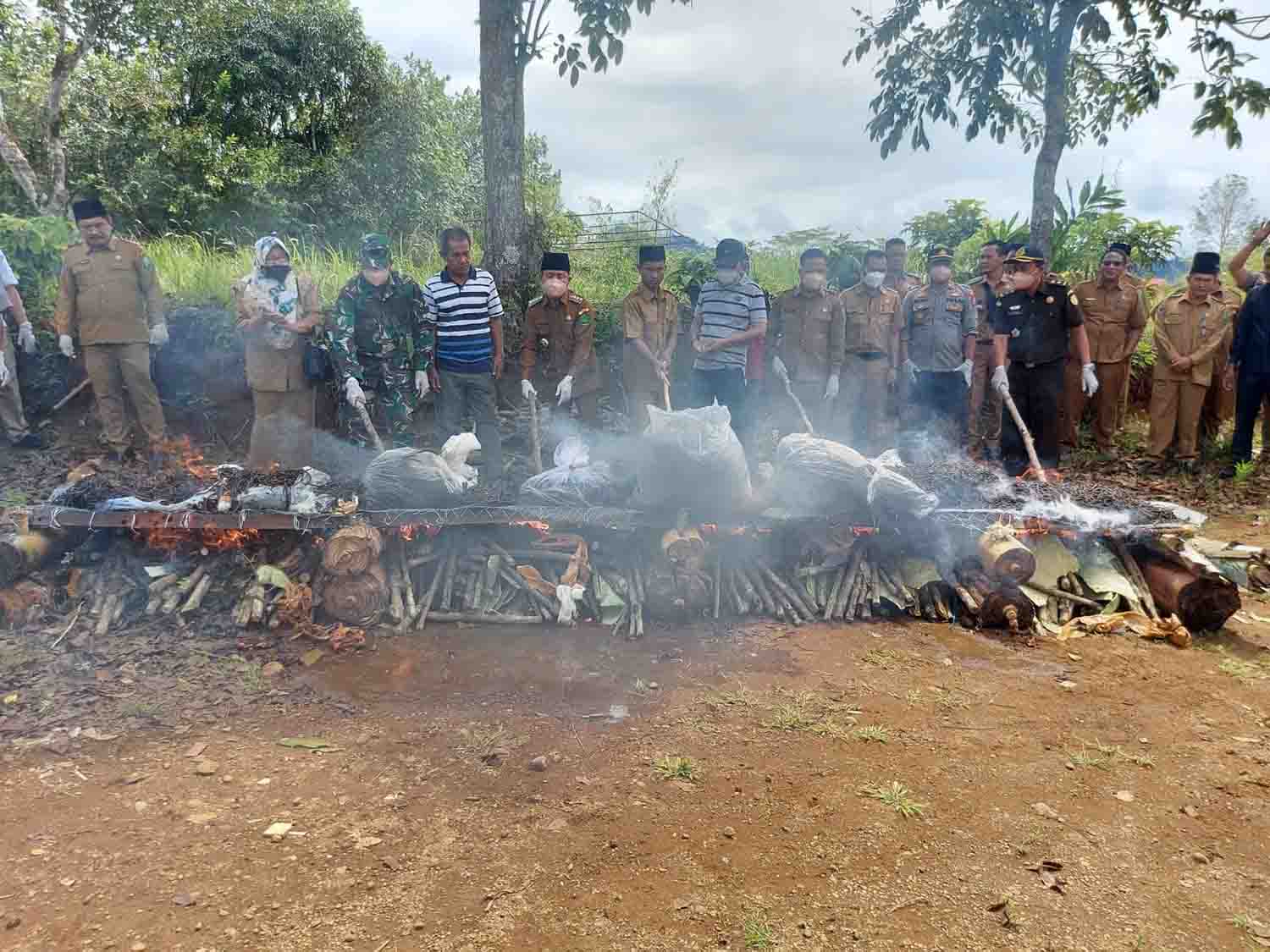 Kopli Musnahkan 120.162 Ekor Tikus 