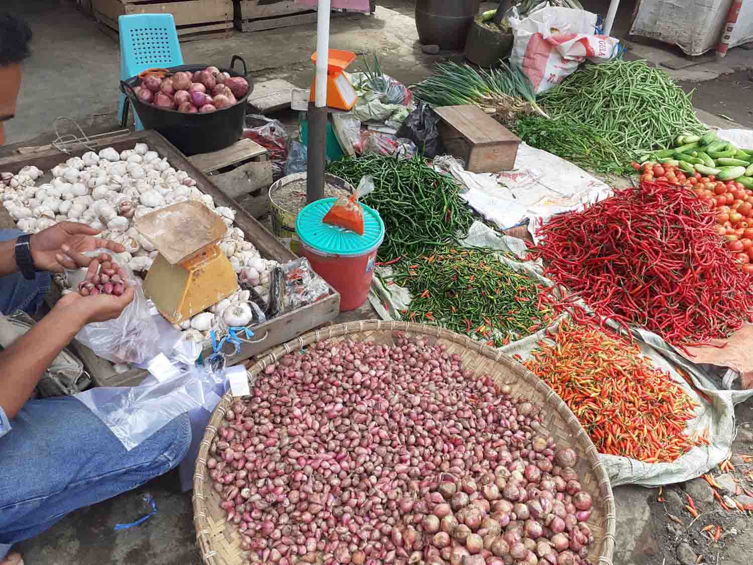 Harga Cabai Bertahan Rp 95 Ribu Hingga Rp 100 Ribu Per Kilogram 