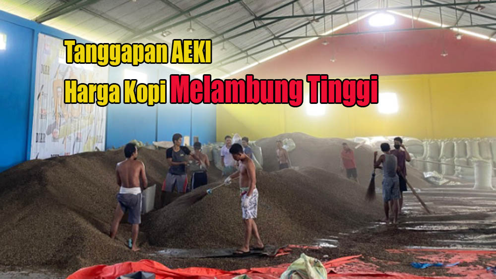 Harga Kopi Melambung Tinggi, Begini Tanggapan Asosiasi Eksportir dan Industri Kopi Indonesia Untuk Petani Kopi