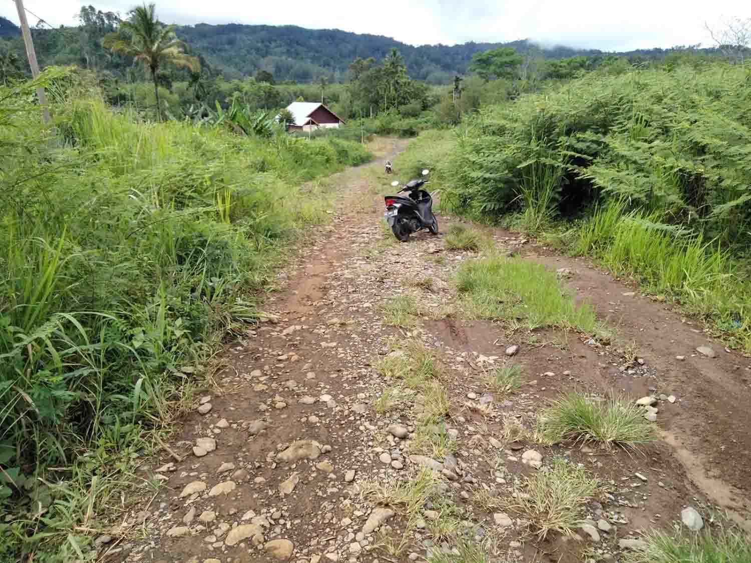 Saran Dewan Soal Terancam Bangunan Terbengkalai 