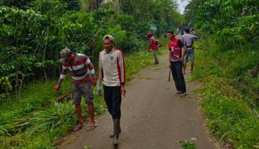 Warga Air Pesi Gotong Royong Bersihkan Jalan Kabupaten
