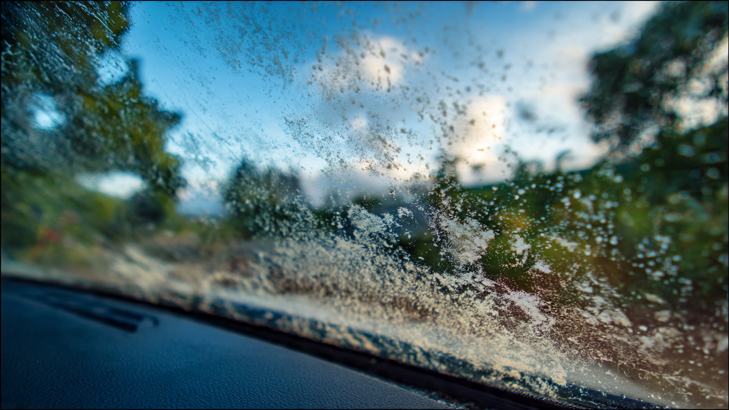 Dijamin Ampuh! Tips Mudah Menyingkirkan Jamur Kaca Mobil 