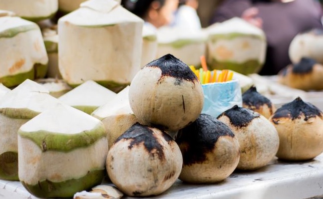 Benarkah Kelapa Hijau Bakar Bisa Jadi Obat, Ini Jawabannya!