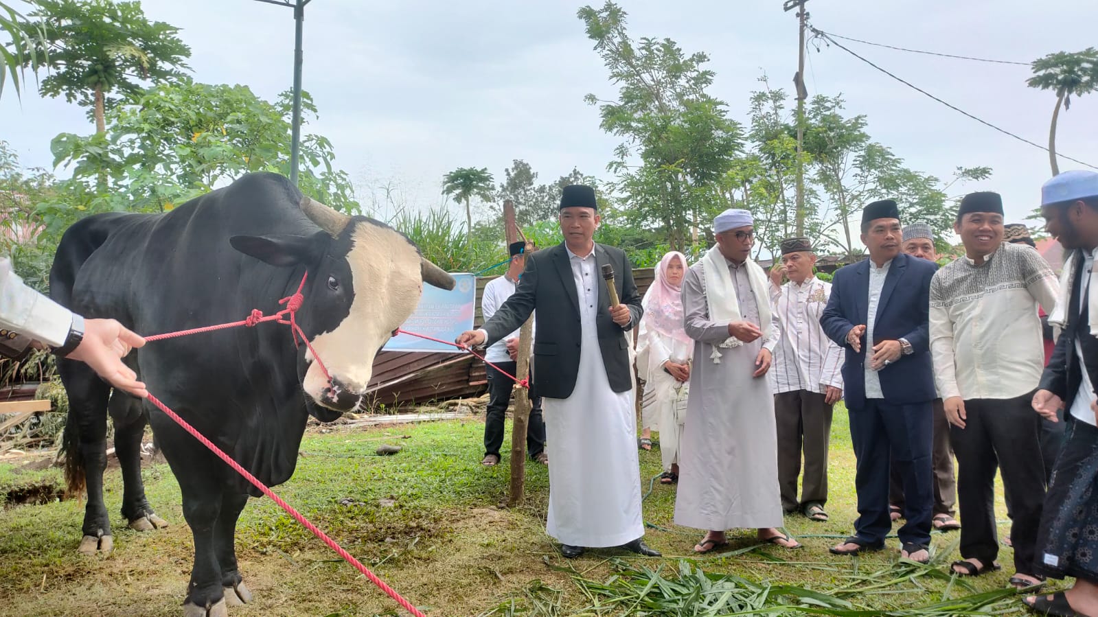 Totalnya 1.321 Ekor, Bupati Kepahiang Apresiasi Peningkatan Jumlah Hewan Kurban Tahun 2025