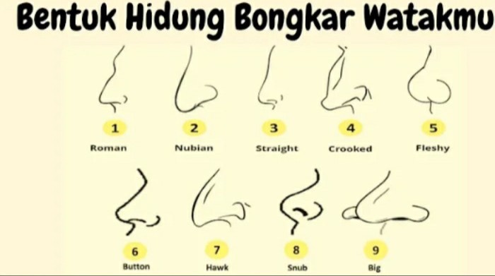 7 Metode Menganalisis Karakter Seseorang Melalui Bentuk Hidung