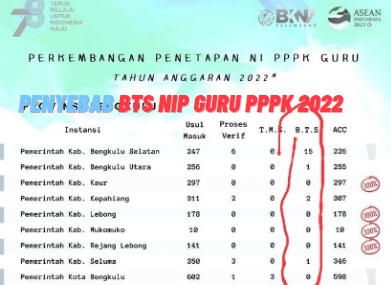 1.640 Usulan NIP PPPK Dikembalikan BKN Palembang, Catat Berikut Ini Penyebab dan Tips Agar Berkas Segera ACC! 