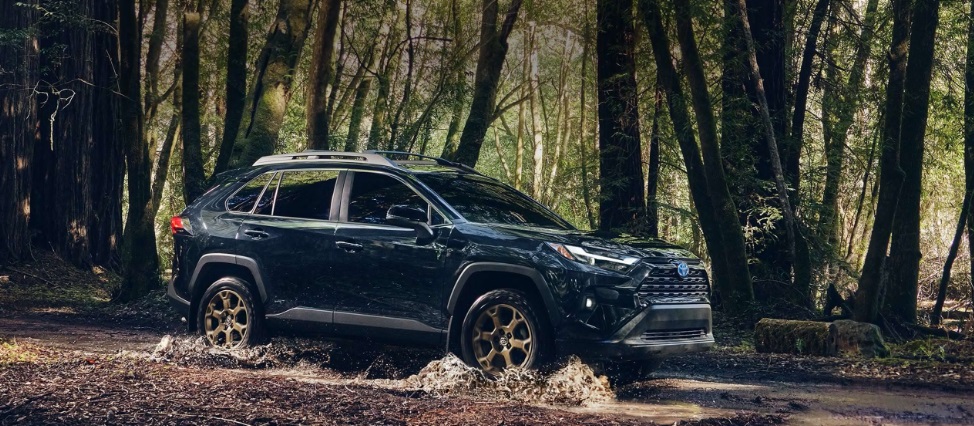 Dilengkapi Pembaruan Fitur Menarik, Toyota Segera Hadirkan RAV4 Woodland Limited Edition